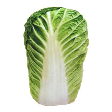 Load image into Gallery viewer, Anti Bite Dog Toys Creative Simulation Vegetable Drumstick